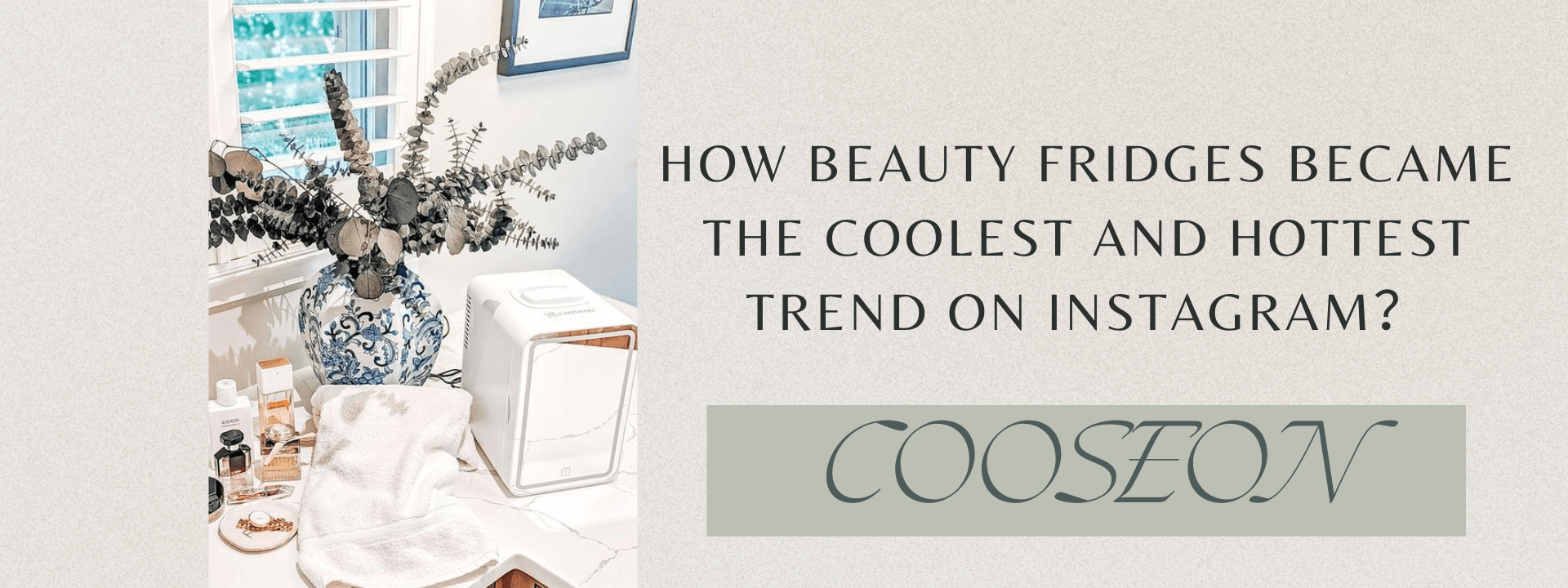 How Beauty Fridges Became the Coolest and Hottest Trend on Instagram - 1st Mini Skincare Fridges With LED Mirror | COOSEON®